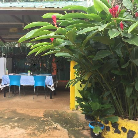 Amelia Homestay Puerto Princesa Eksteriør billede